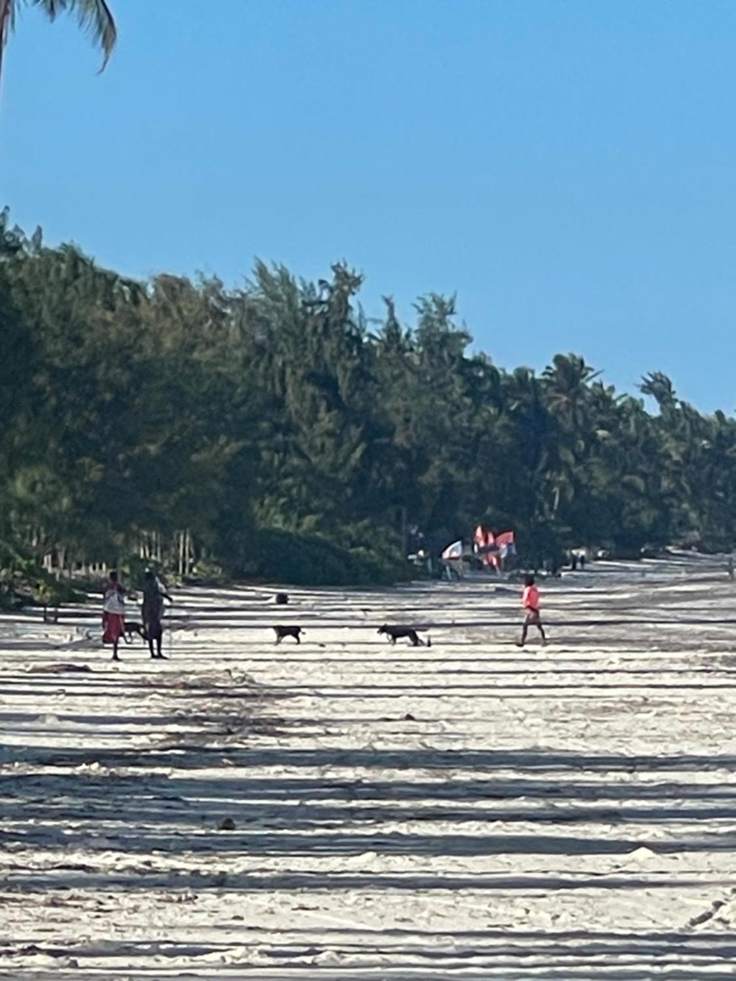 Accommodatie bij particulieren Zanzibar Escape 1&2