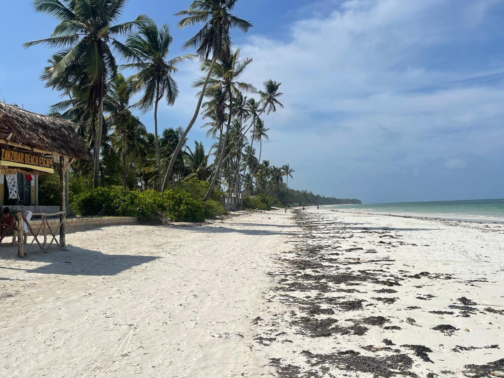 Zanzibar Escape 1&2 Accommodatie bij particulieren Bwejuu